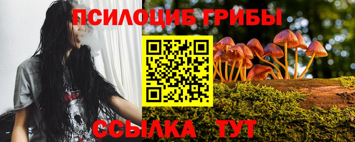 Ейск  Галлюциногенные грибы MAGIC MUSHROOMS  Вход с VPN 